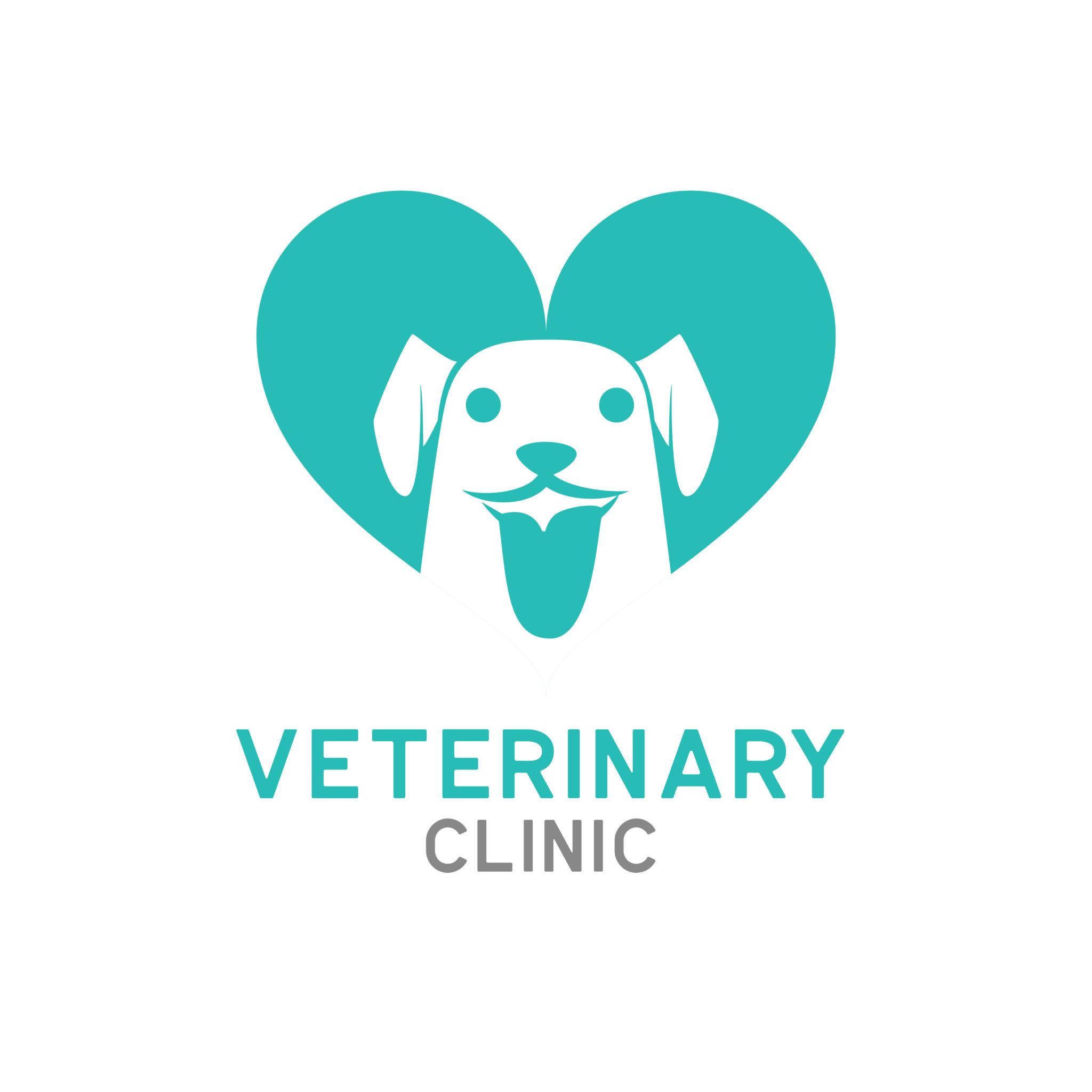 Vet Surgery